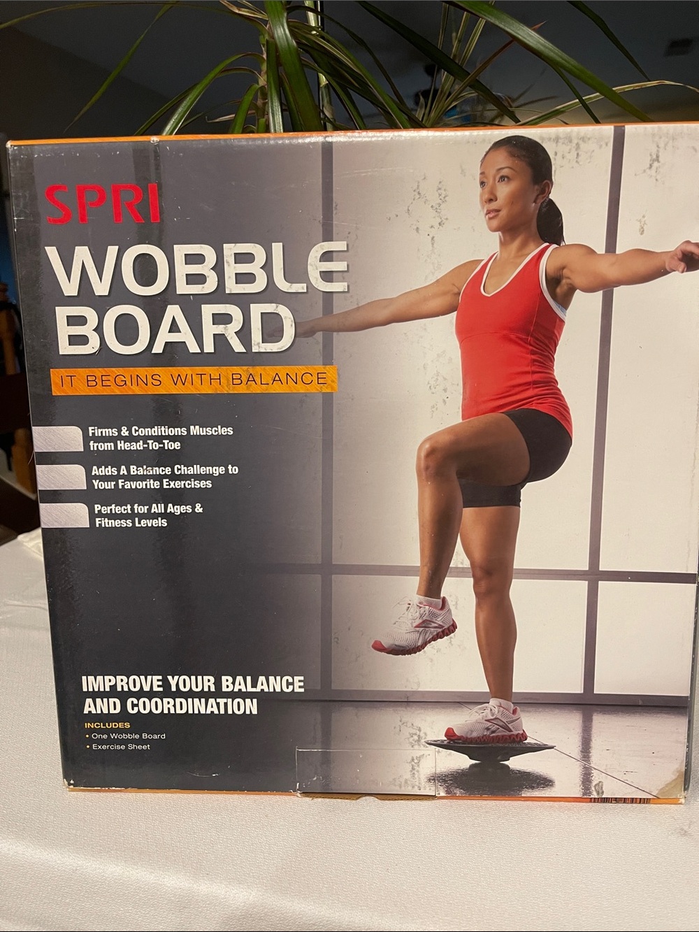SPRI Wobble Board - Red Accent Balance Trainer